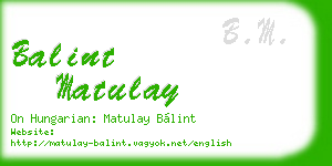 balint matulay business card